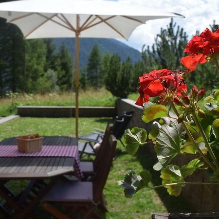 Chalet Do Costa Pozza di Fassa Esterno foto